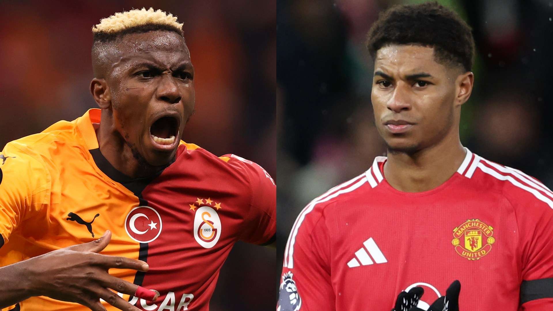 将在未来的 将在未来的