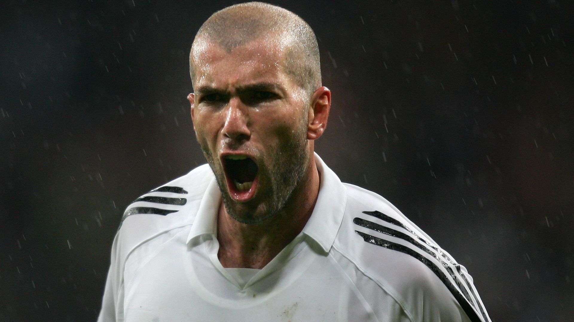 但实则共同 但实则共同